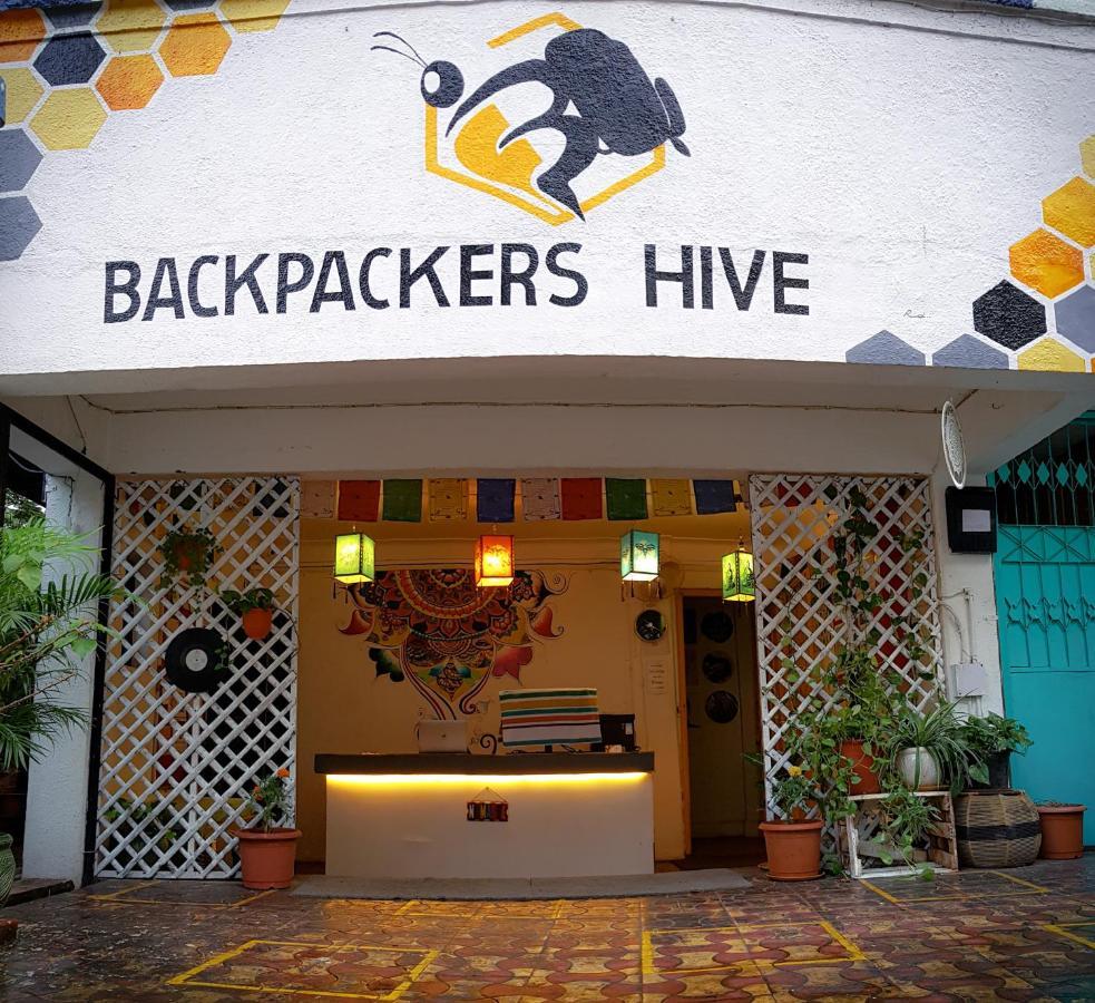 Backpackers Hive Hostel *