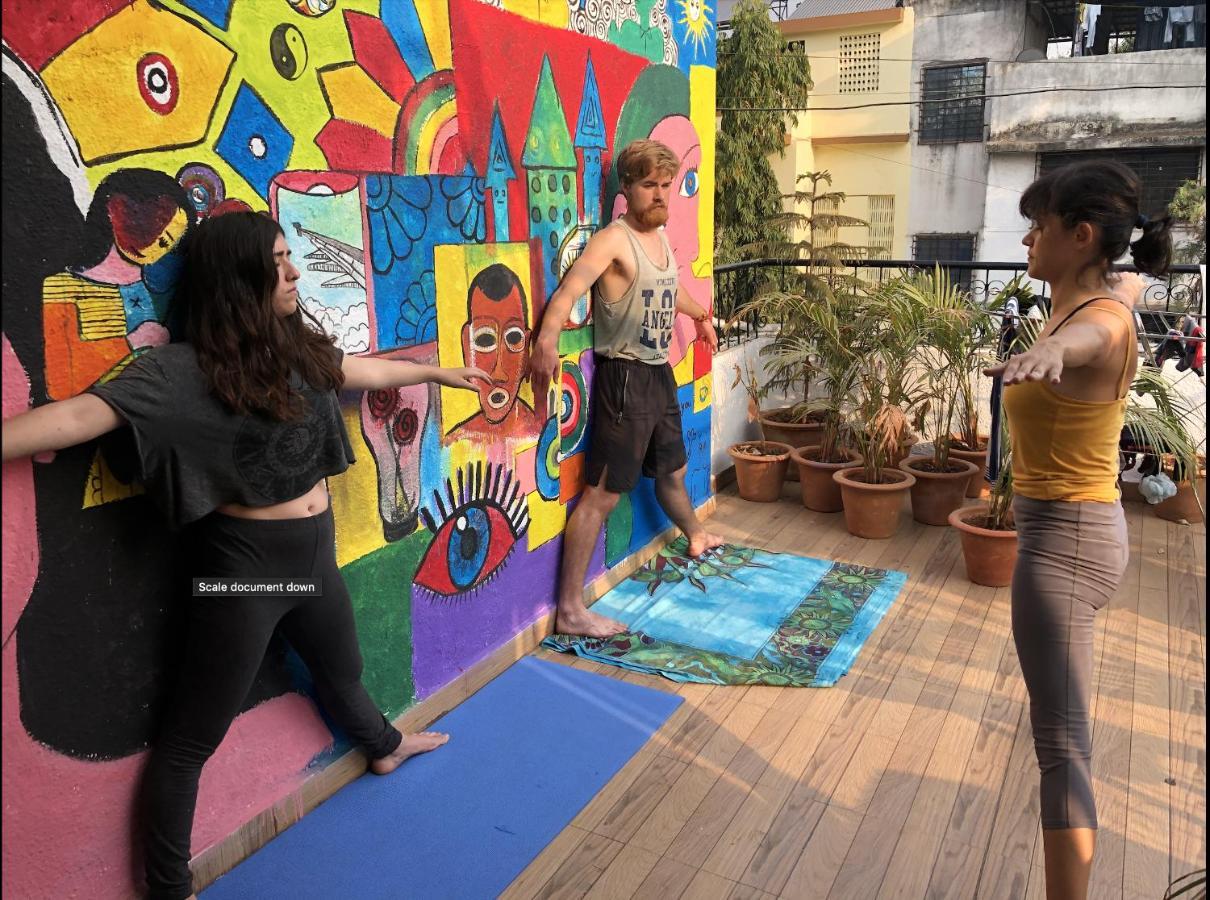 Hostel Backpackers Hive